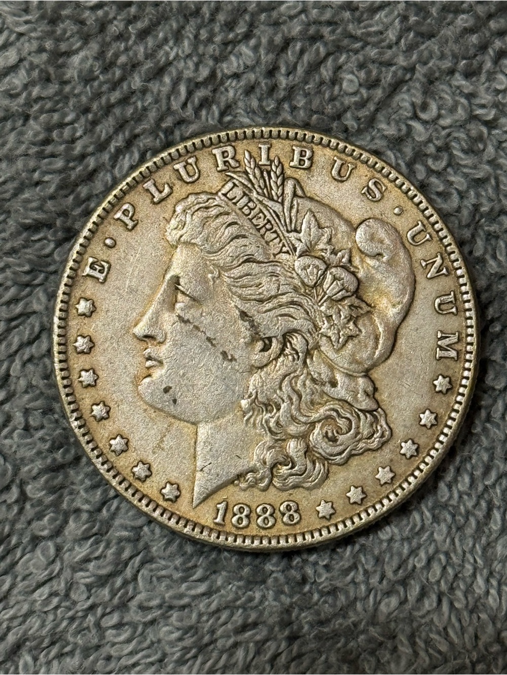 Morgan Silver Dollar Wall Accent - 1888 Classic Coin Display (90% Silver)